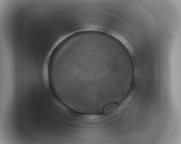 X0000101441120200807211206