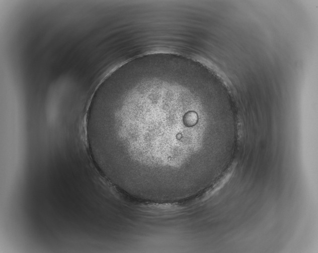 X0000101441121200807211206