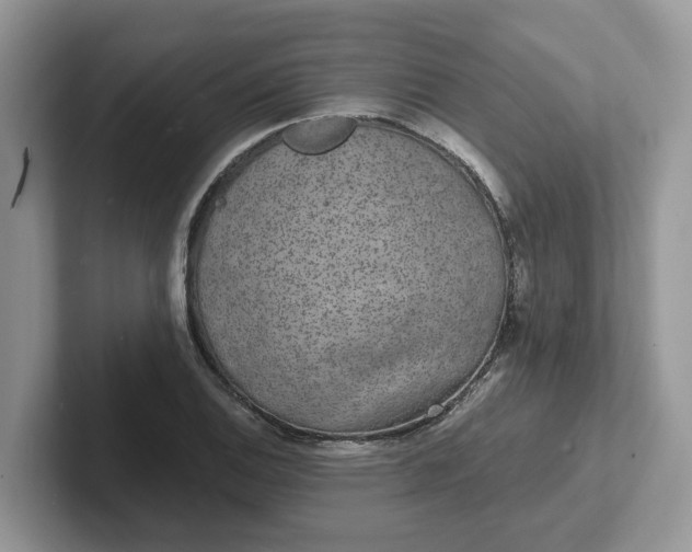 X0000101441124200807211206