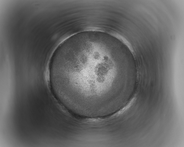 X0000101441125200807211206