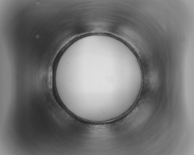 X0000101441126200807211206