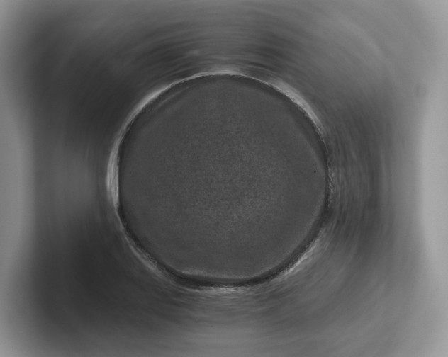 X0000101441127200807211206