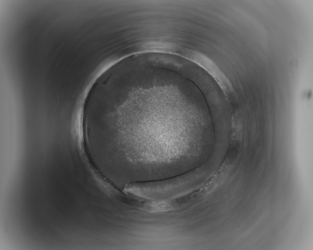 X0000101441128200807211206