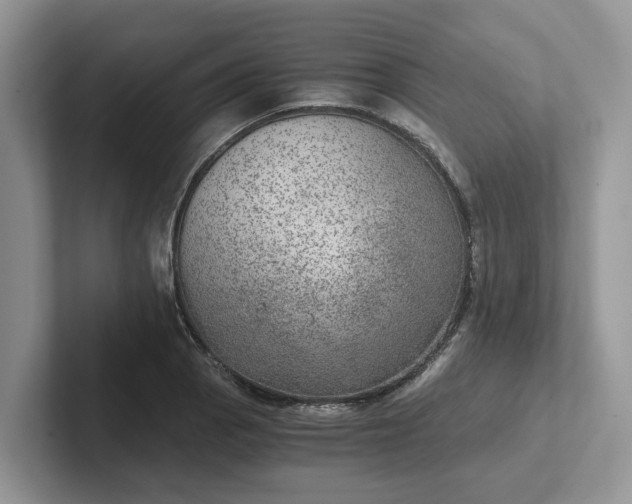 X0000101441129200807211206