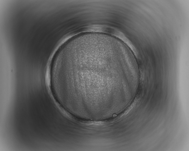 X0000101441131200807211206