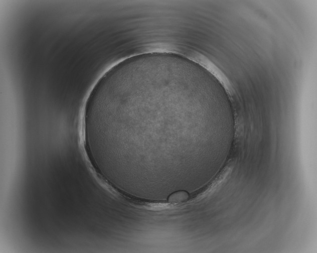 X0000101441132200807211206