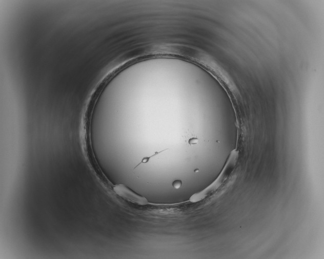 X0000101441133200807211206