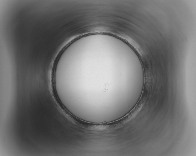 X0000101441134200807211206