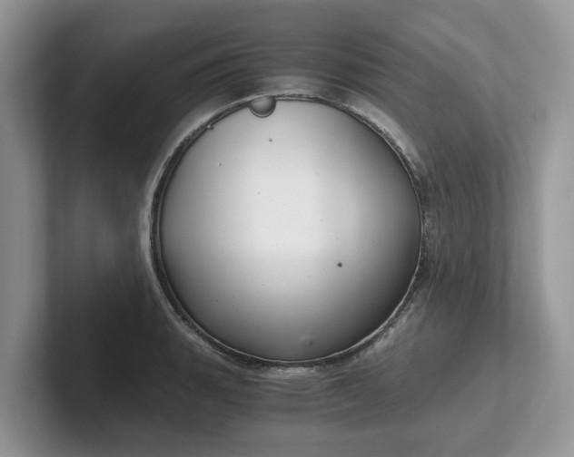 X0000101441135200807211206