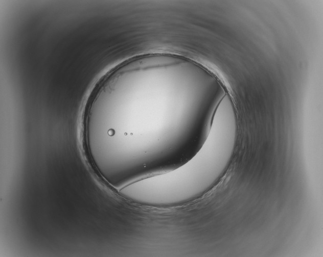 X0000101441136200807211206