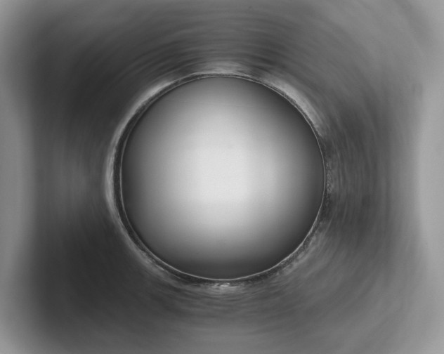 X0000101441139200807211206