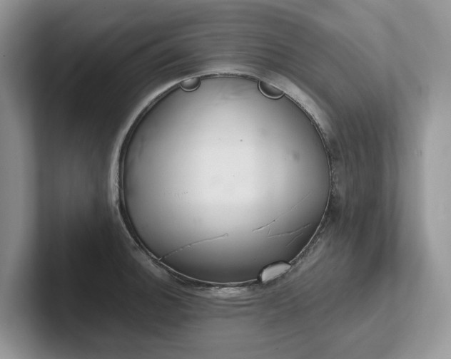 X0000101441140200807211206