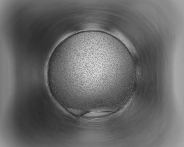 X0000101441142200807211206