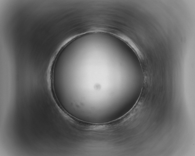 X0000101441143200807211206