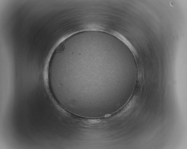 X0000101441144200807211206