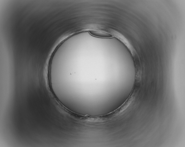 X0000101441146200807211206