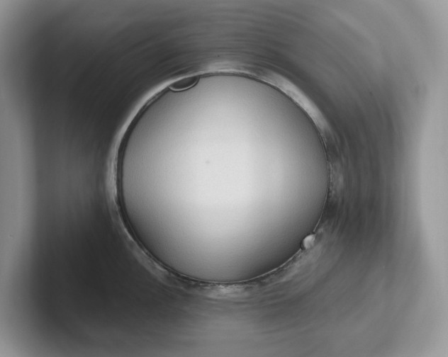 X0000101441148200807211206