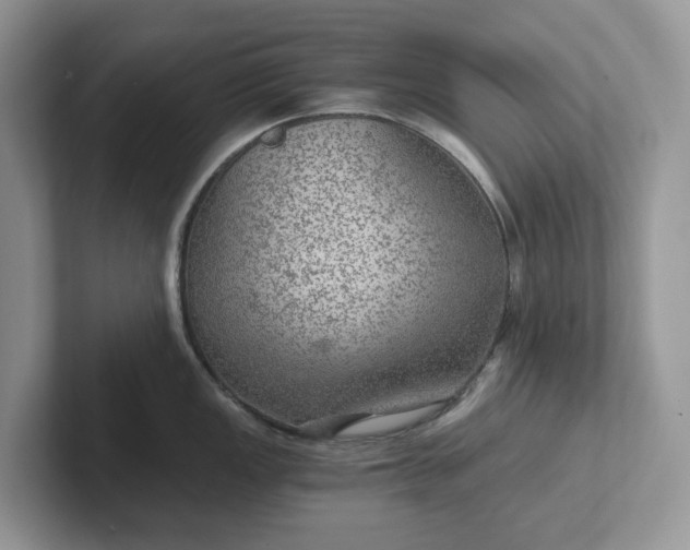 X0000101441149200807211206