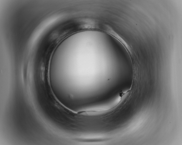 X0000101441151200807211206