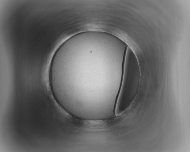 X0000101441152200807211206