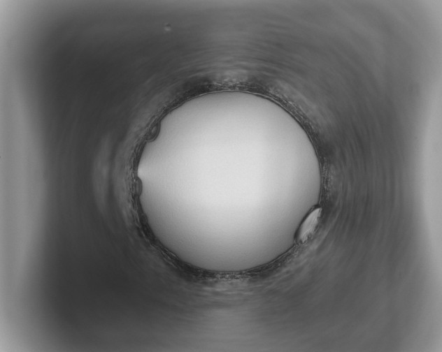 X0000101441153200807211206