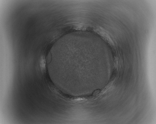 X0000101441154200807211206