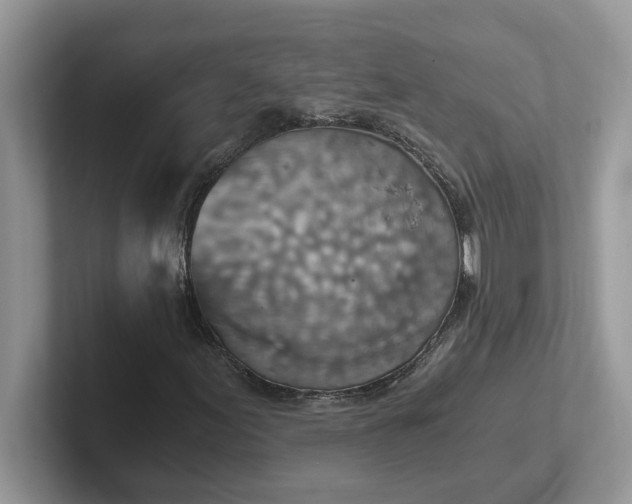 X0000101441155200807211206