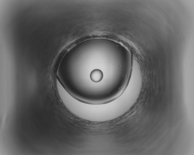 X0000101441160200807211205