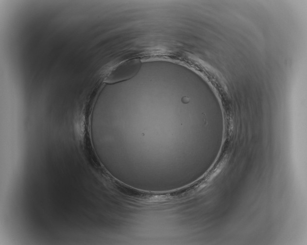 X0000101441161200807211205