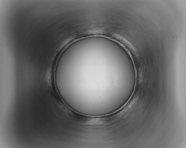 X0000101441162200807211205