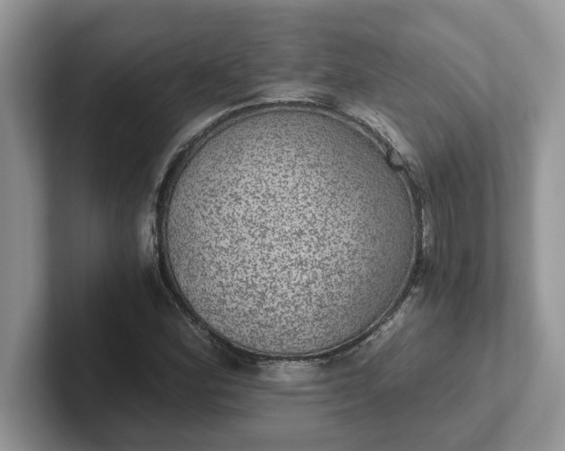 X0000101441164200807211205