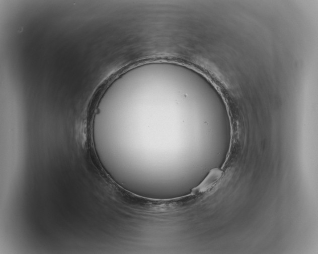 X0000101441165200807211205