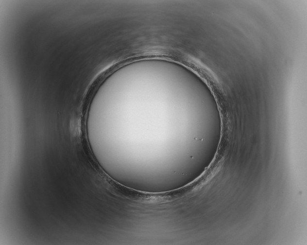 X0000101441166200807211205