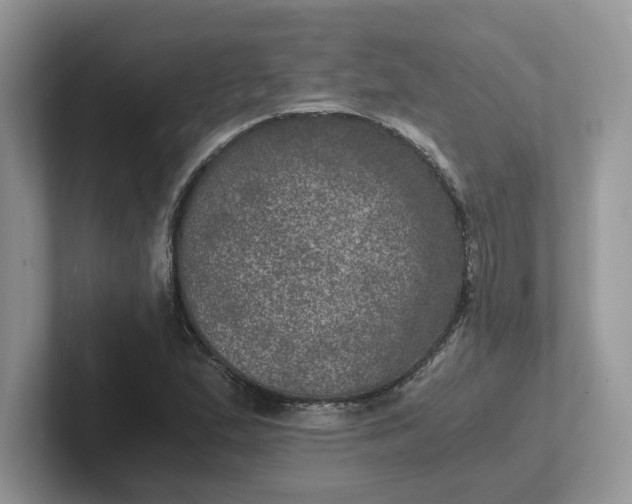 X0000101441167200807211205