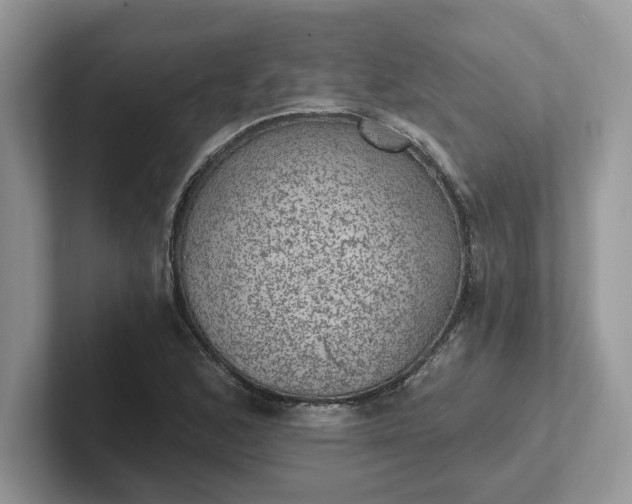 X0000101441168200807211205