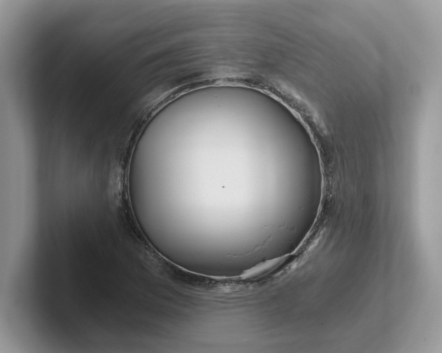 X0000101441169200807211205