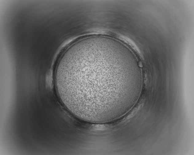 X0000101441172200807211205