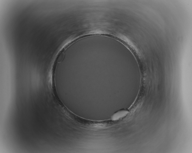 X0000101441173200807211205