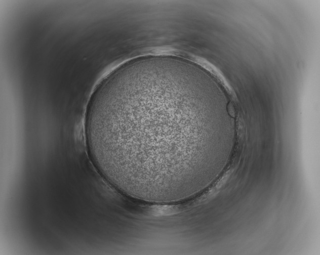 X0000101441176200807211205