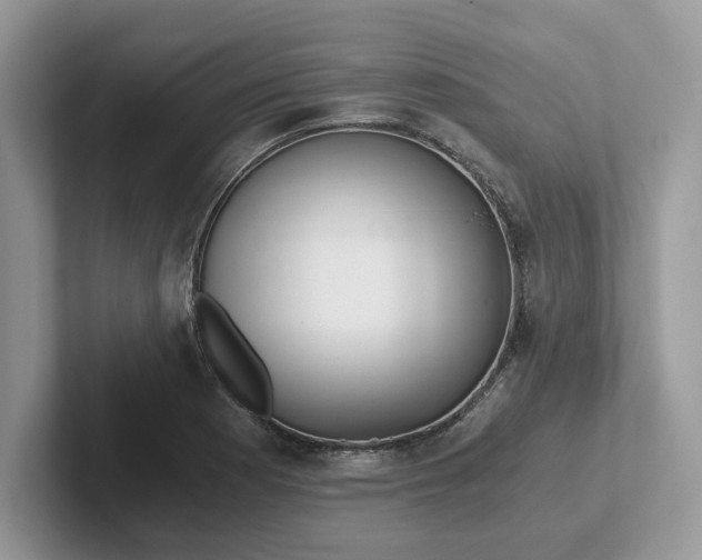 X0000101441177200807211205