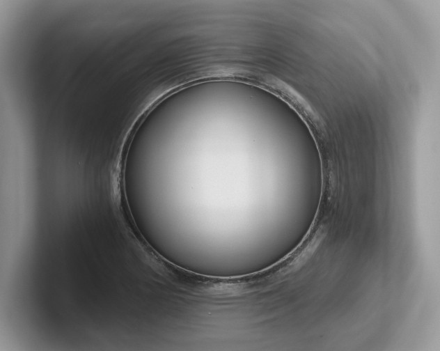 X0000101441178200807211205