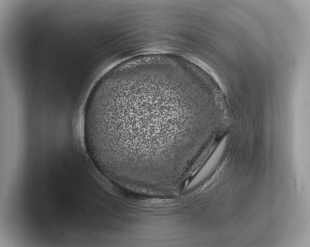 X0000101441179200807211205