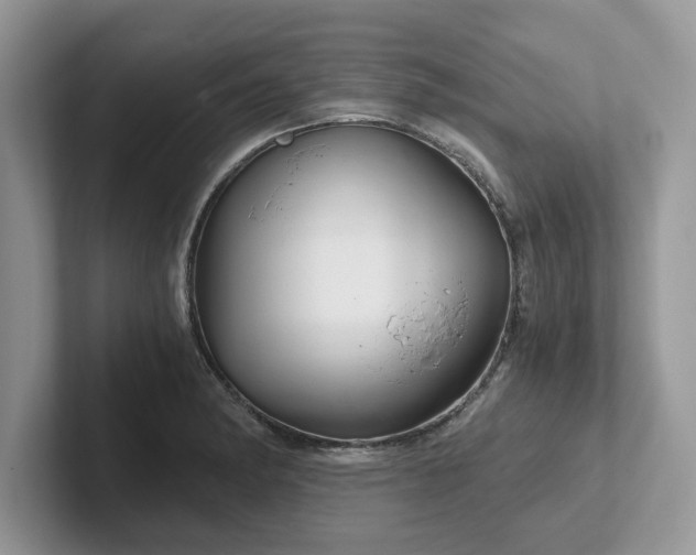 X0000101441182200807211205