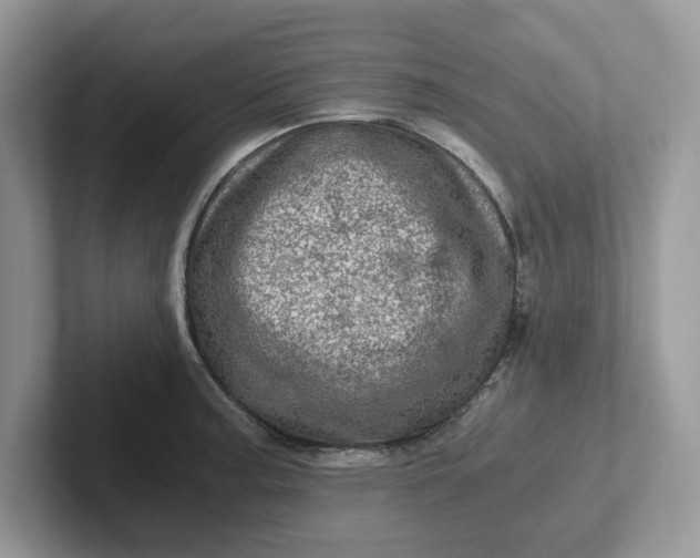 X0000101441187200807211205