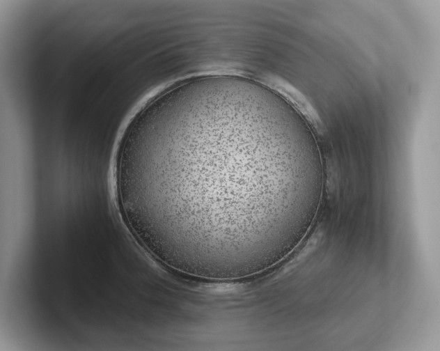 X0000101441188200807211205