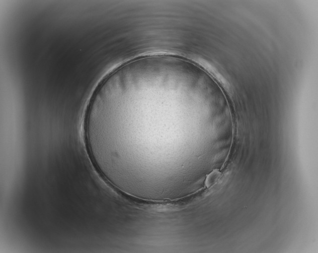 X0000101441189200807211205