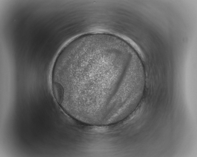 X0000101441191200807211205