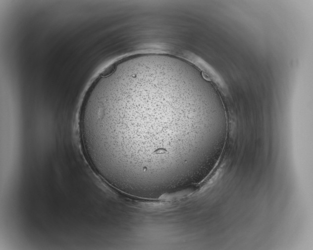 X0000101441192200807211205