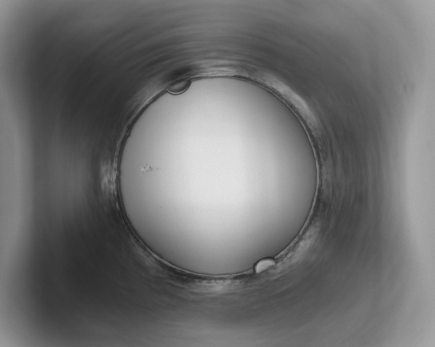 X0000101441193200807211205