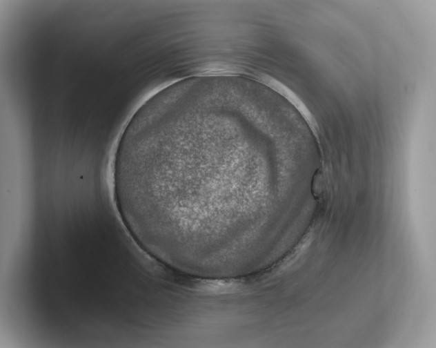 X0000101441195200807211205